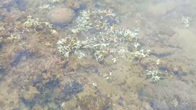 [VLOG] ЧТО НА ДНЕ МОРСКОМ (30.07.2019) смотреть онлайн