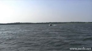 Silver Eagle 650 Wa 45 knop