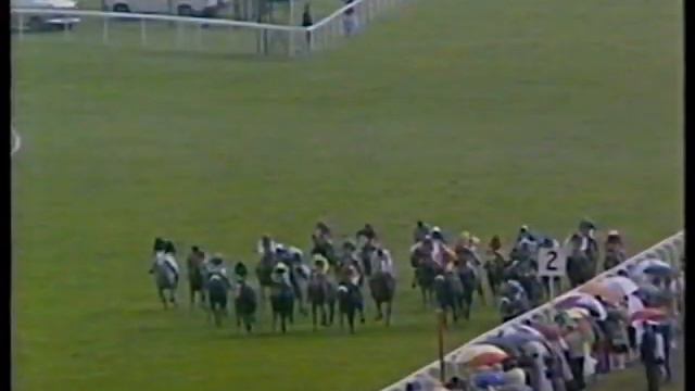 1987 Wokingham Stakes H'cap Bel Byou Includes Replay смотреть онлайн
