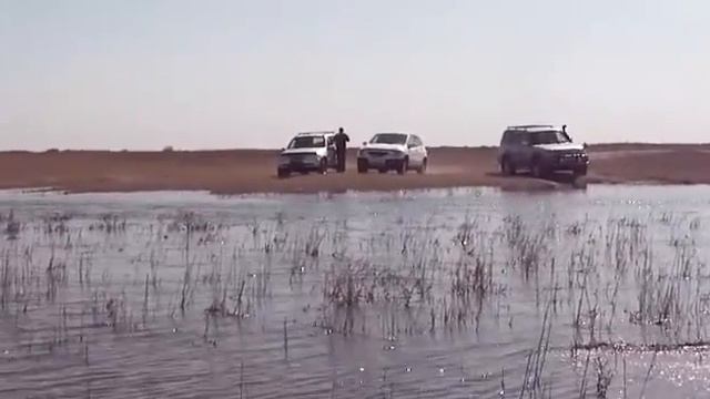 12.03.2016г. ЮКО, Сузакский район савхоз Тасты проежали на охоту. смотреть онлайн