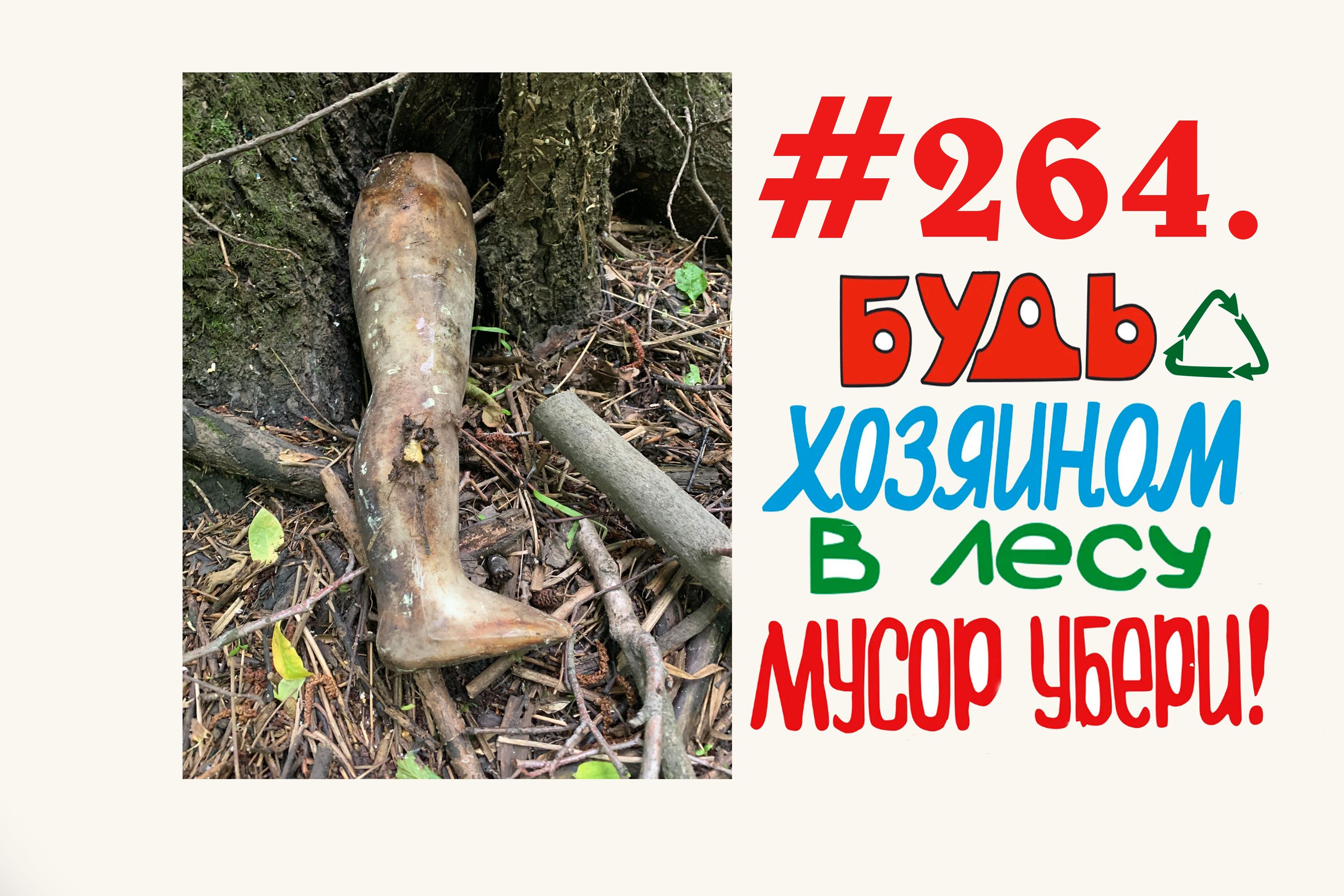 Стиль жизни экология _ Чистый лес #264 Орехово-Зуево.mp4