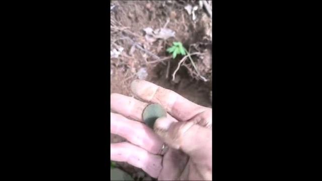 Вылазка с металлоискателем!