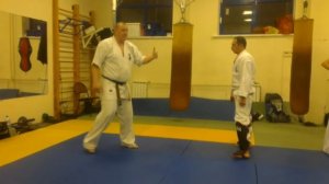 Защита от мае гери. Protection from Mae Geri