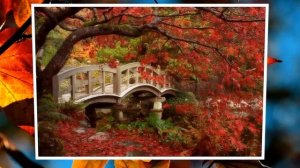 Осеннее танго