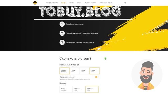 Полный обзор тарифа для умных смарт домов камер смарт часов. Билайн Z.