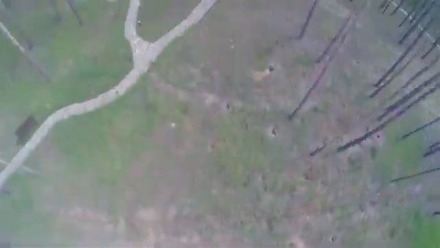 Красоты с высоты птичьего полета Бобровский район,Воронежская область