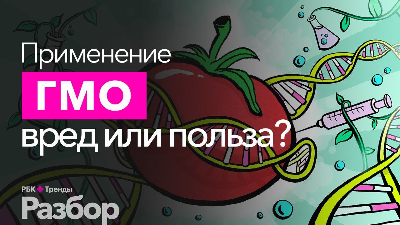 Все о ГМО. Опасны ли ГМО продукты? Несет ли вред модификация генов?