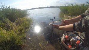 Рыбалка на фидер на лесном озере, или ловля подлещика в июле 2020, Калужская область