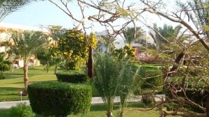 Номер в отеле "DESERT ROSЕ 5* (Десерт Роуз 5*) Хургада, Египет