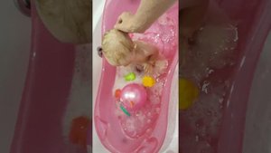 Вечернее купание малыша в 8 месяцев