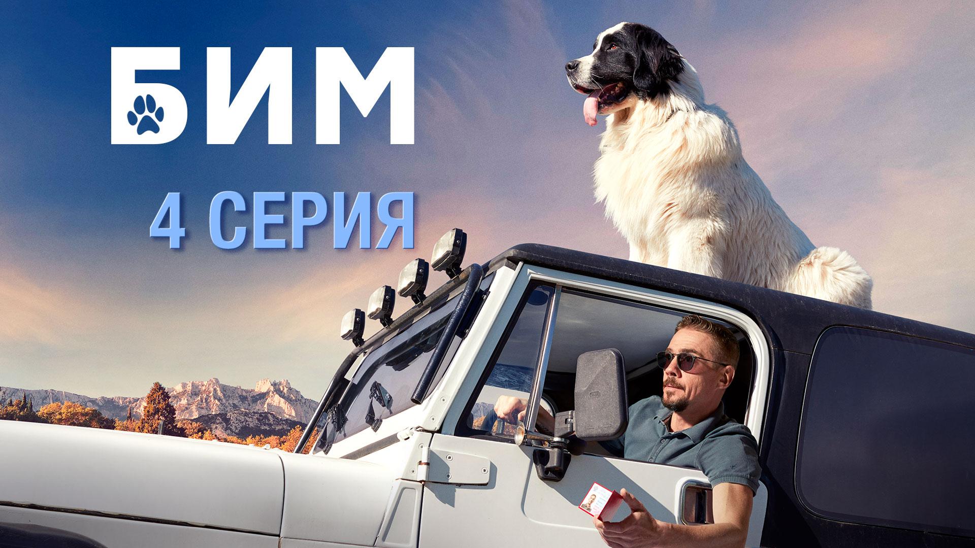 Бим сериал 2021