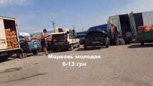 Цены на рынке Великие Копани 12.06.2020