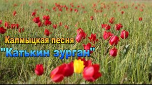 Калмыцкая песня "Катькин зурhан". Элиста. Калмыкия.