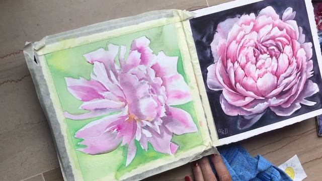 Pink Peony Watercolor process. Розовые пионы акварелью