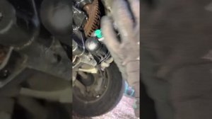 Peugeot Fiat PSA 2.0 HDI Timing Belt Change DW10