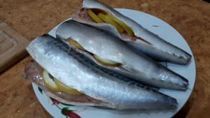 Скумбрия на мангале