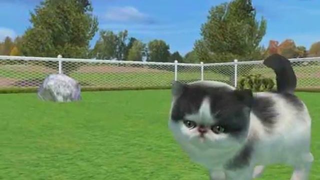 Petz Catz 2 part 1 смотреть онлайн
