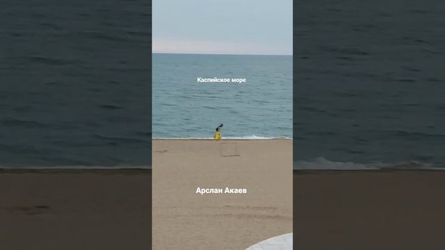 Дагестан. Каспийское море. Арслан Акаев