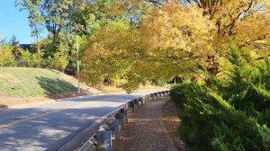 Дальнобой США. Будни дальнобоя.