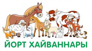 Йорт хайваннары / Домашние животные /Видео для детей / Видео для детей на татарском языке