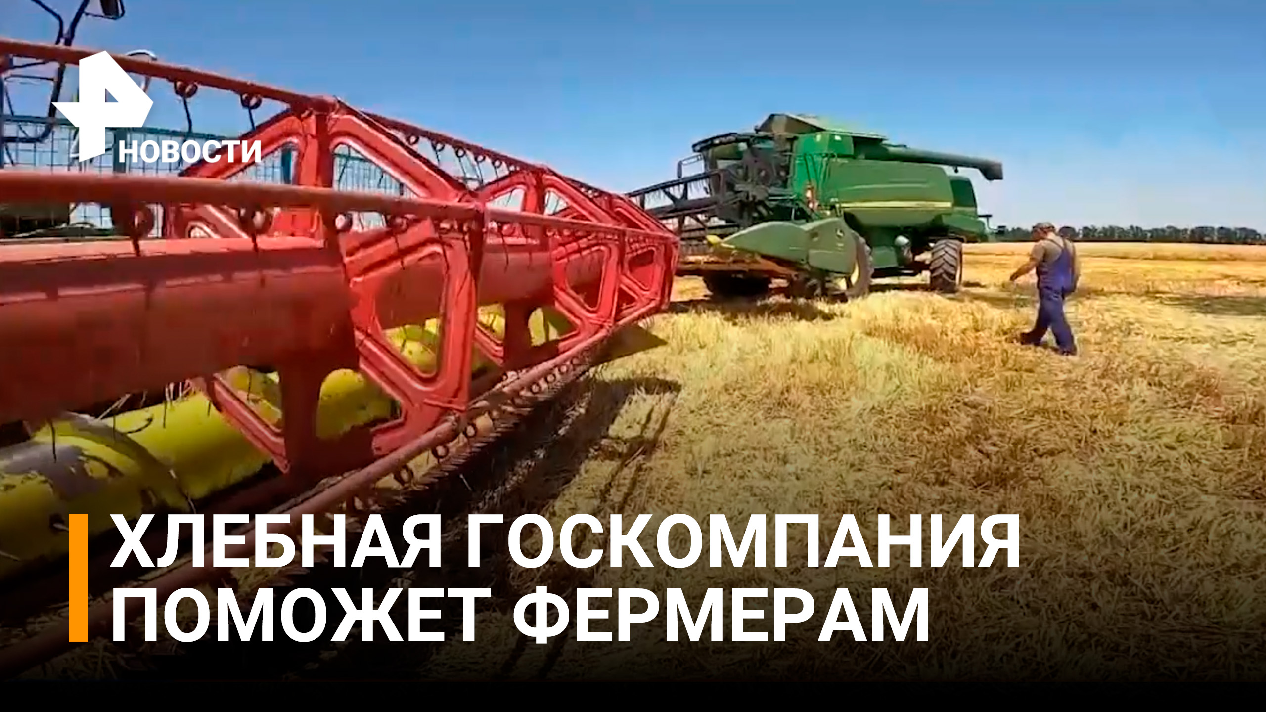 В Мелитополе создана государственная хлебная компания для помощи аграриям / РЕН Новости