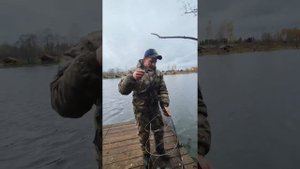 Форель на 4 кг. Лучшая форель в области. Рыболовный клуб "Марлин"
