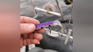 Рыбалка. ПЯОЗЕРО октябрь 2022г. фотонарезка. ДИКИЕ ТУНЦЫ!