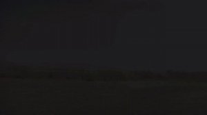 РЕШЕНИЕ ПРОБЛЕМЫ С ЗАПУСКОМ Colin McRae: DiRT 2 НА W 10 & 11/FIX DiRT 2 IN WINDOWS 10 & 11