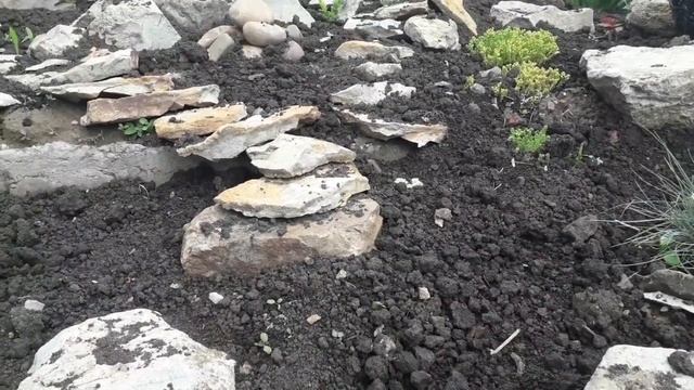 Альпийская горка или как скрыть сливную яму