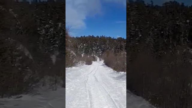 Лаго-Наки.🌬️Хруст снега.❄️Отдых в горах.🗻