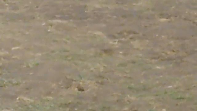 полигон капустин яр и суслик))) смотреть онлайн