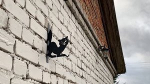 Тверская область