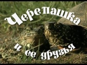 Черепашка и ее друзья. Фильм для детей и взрослых