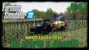 Farming Simulator 22 карта #Elmcreek  ⚙️ №87 ⚙️Виноградная лоза! #farming #moroz+