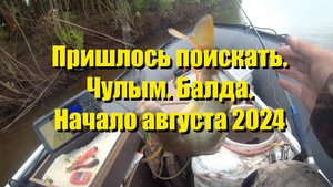 Пришлось поискать. Чулым. Балда. Начало августа 2024