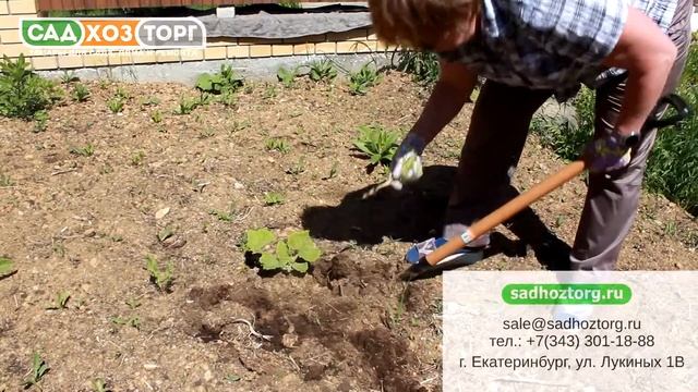 КОРНЕУДАЛИТЕЛЬ ГЕРКУЛЕС. КАК ЛЕГКО И БЫСТРО УДАЛИТЬ КОРЕНЬ СОРНЯКА.