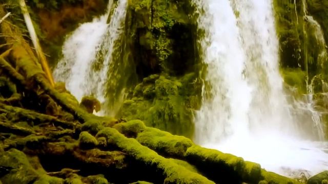 Стихотворение"Остаться человеком"??? смотреть онлайн