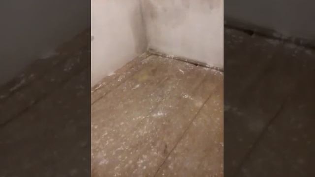 побелка дома? смотреть онлайн