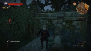 Ведьмак 3: Дикая Охота прохождение - РОЩА ФРЕЙИ - #24