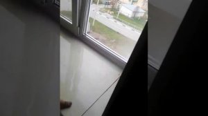 Замена подоконника без повреждения пластиковых откосов из сэндвич-панелей.