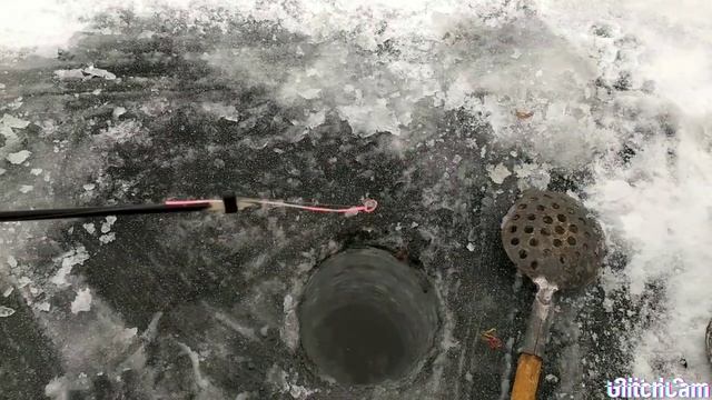 Рыбалка в Подкаменном на леща