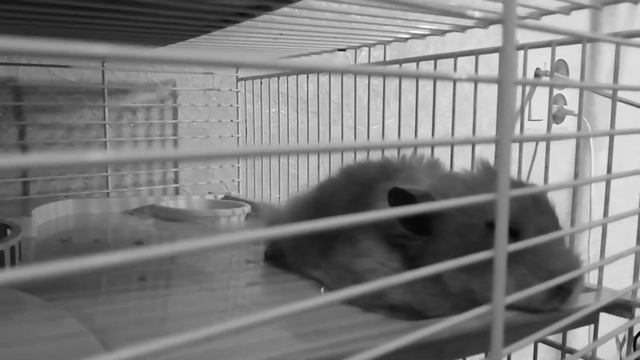 Покойся с миром?... смотреть онлайн