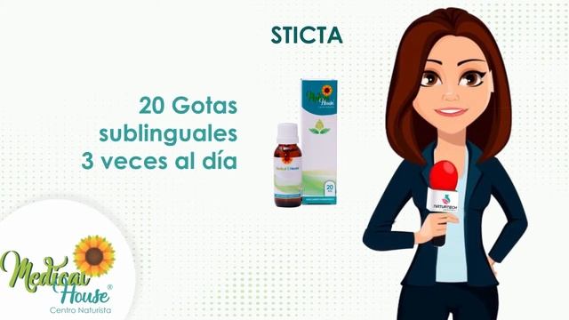 Sticta смотреть онлайн
