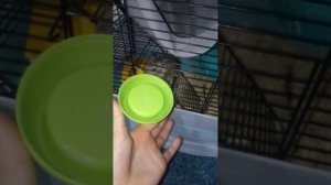 Содержания дего//белка дего//уход. ?