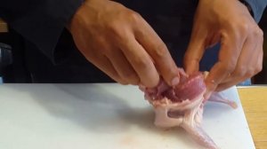 фаршированные перепелки: подготовка и разделка (полный вариант)