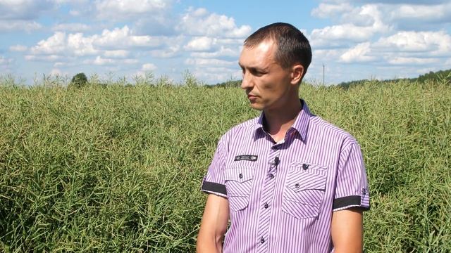 ?РАПС и СТЕБЛЕВОЙ скрытнохоботник. Опасен ли?
