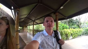 Круиз. Гигантские панды. Зоопарк в Сигапуре. Singapore River Safari.
