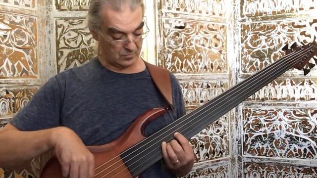 Musical Musings from the Bassment: MTD 6-string Fretless Semi-Hollow (24): bass groove and bass sol смотреть онлайн