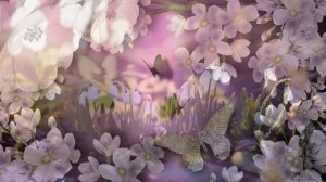 Картинки на рабочий стол (цветы)