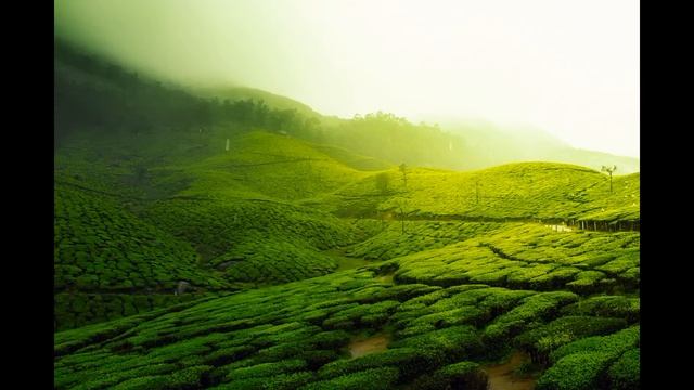 Tetouan History (Morocco) смотреть онлайн